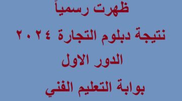 نتيجة دبلوم التجارة 2024 بوابة التعليم الفني