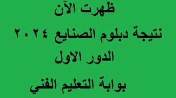 نتيجة دبلوم الصنايع 2024 عبر بوابة التعليم الفني