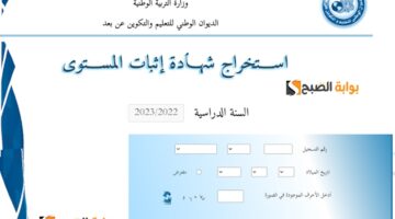 نسخة ‏شهادة اثبات المستوى