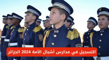 نص فقرتك 13