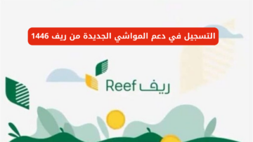 “هنا reef.gov.sa”.. التسجيل في دعم المواشي الجديدة من ريف 1446