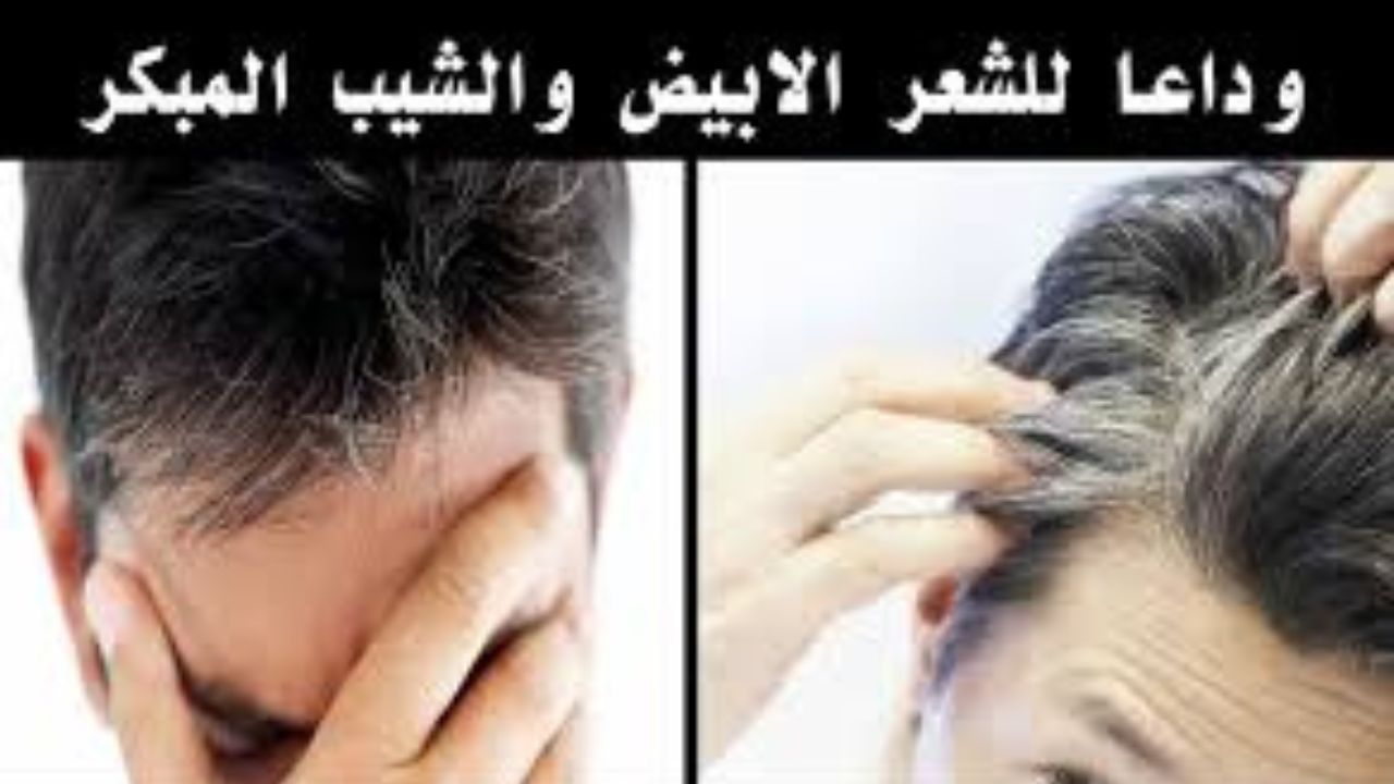 تخلصي من الشيب والشعر الأبيض بدون صبغات ولا أمونيا وعودي لشبابك