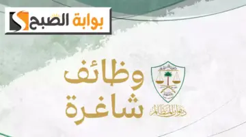 يلللب