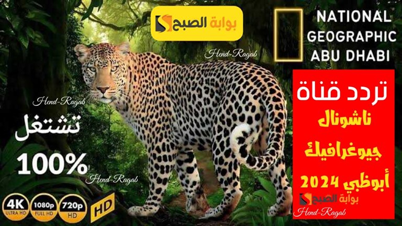 لأمتع المغامرات!.. تردد قناة ناشيونال جيوغرافيك National Geographic الجديد 2024 على النايل وعرب سات.. استقبلها الآن