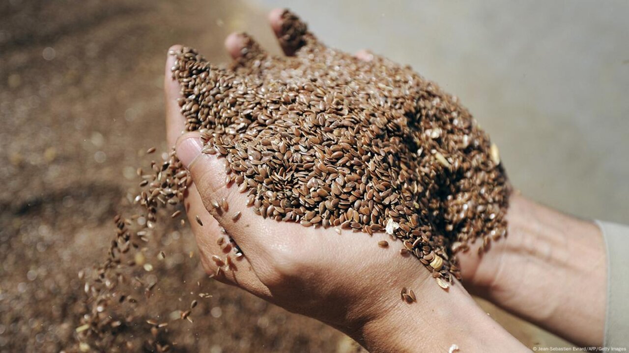 كأنك وقعت على كنز.. البذور الاقوى على الاطلاق هتخليك شباب حتى لو كنت عجوز ووشك كرمش