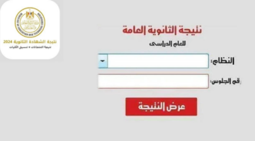 20240806 023408 ٠٠٠٠