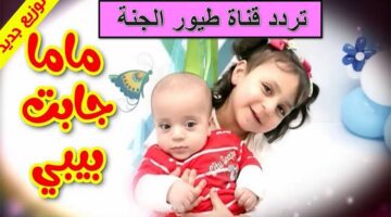 IMG 20240809 WA0003 11zon