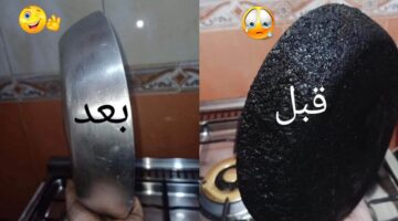 IMG 20240831 WA0048