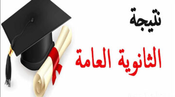IMG 2024 08 06 004038