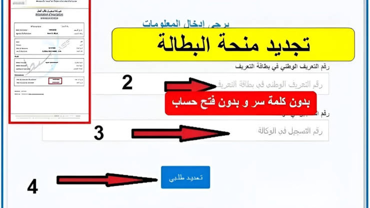 عبر الوكالة الوطنية.. طريقة تجديد منحة البطالة 2024 في الجزائر والشروط المطلوبة للتجديد.. بخطوات سهلة