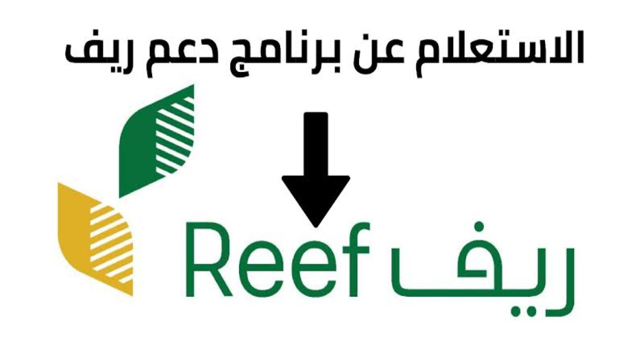 عبر reef.gov.sa.. طريقة الاستعلام عن دعم ريف 1446 وماهي الشروط المطلوبة للاستفادة من الدعم