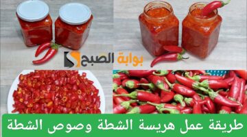 IMG ٢٠٢٤٠٨٠٧ ١١٣٨٥٧
