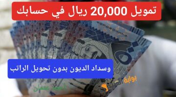 IMG ٢٠٢٤٠٨٠٨ ٢٠٤٩٥٤