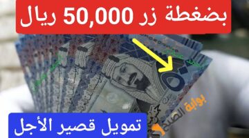 IMG ٢٠٢٤٠٨١٥ ١٣٤٤٣٨