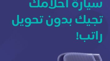 IMG ٢٠٢٤٠٨١٩ ٠٩٠٤١٣ 1200 x 800 pixel