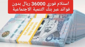IMG ٢٠٢٤٠٨٢٠ ١٣٠٨٤٤ 1280 x 720 pixel