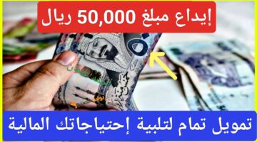 IMG ٢٠٢٤٠٨٢٥ ٢١٤٨٤٤