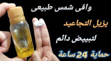 IMG ٢٠٢٤٠٨٢٦ ٠٥٤٣٠٤ 1