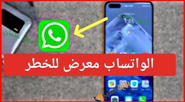 IMG ٢٠٢٤٠٨٢٨ ٢١٠٢٥٧