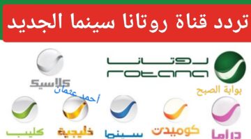 IMG ٢٠٢٤٠٨٣١ ٢١٢٣٠١