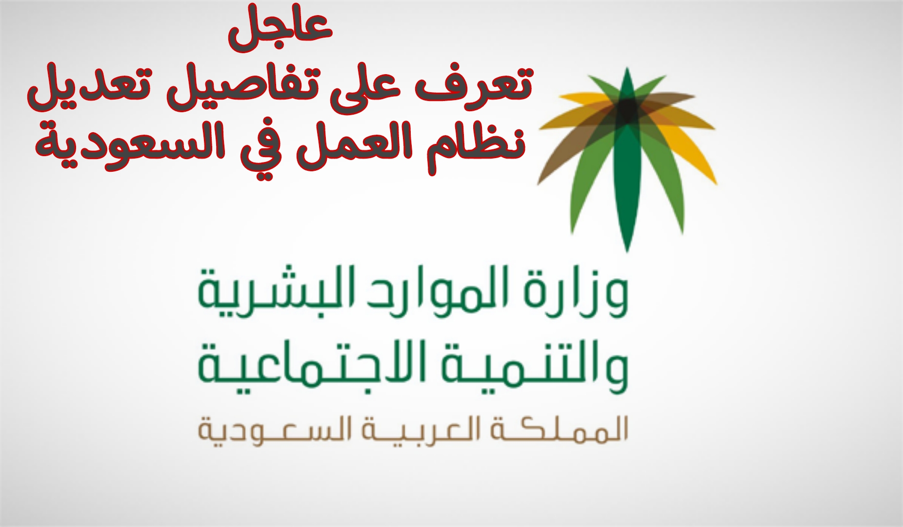 عاجل.. الموارد البشرية توضح تعديلات نظام العمل الجديد في السعودية 1446 اهمها نظام الاجازات.. اعرف التفاصيل
