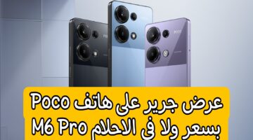Picsart 24 08 27 11 25 12 702