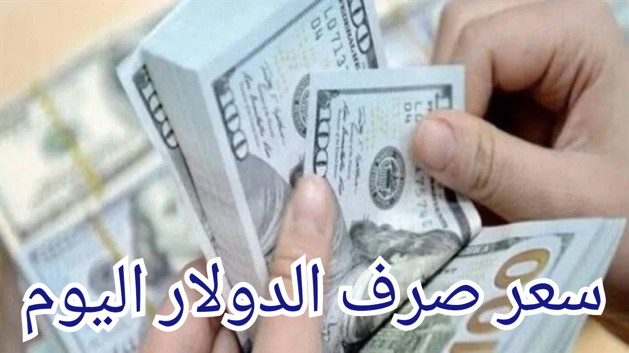 سعر صرف الدولار مقابل الجنيه اليوم السبت 10 أغسطس بكام الدولار النهاردة؟