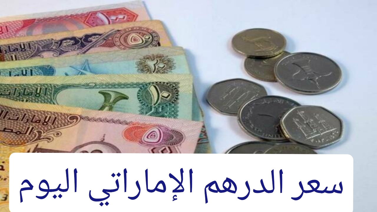 سعر الدرهم الإماراتي اليوم مقابل الجنيه المصري والعملات العربية والأجنبية تعرف التفاصيل