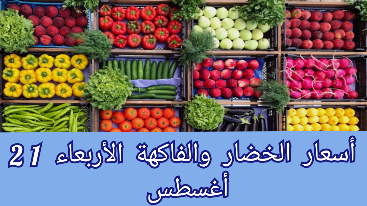 الزيتون ب50 جنيها..تعرف أسعار الخضار والفاكهة اليوم الأربعاء 21 أغسطس 2024 5 الزيتون ب50 جنيها..تعرف أسعار الخضار والفاكهة اليوم الأربعاء 21 أغسطس 2024