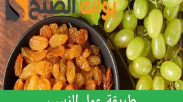 ResizedImage٢٠٢٤٠٨٠٦ ١١٥٠٥٥