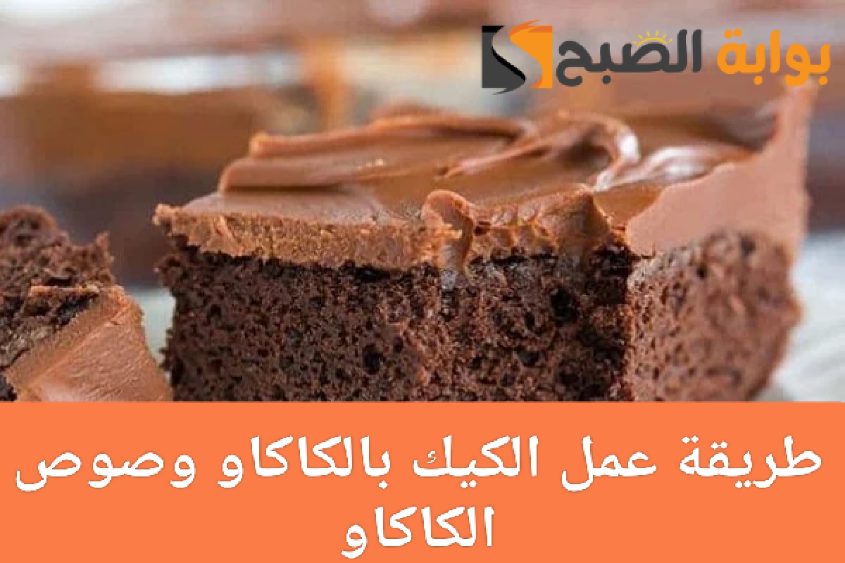 طريقة عمل الكيك الهش بالكاكاو والصوص وصفات لذيذة وسهلة في المنزل 4 طريقة عمل الكيك الهش بالكاكاو والصوص وصفات لذيذة وسهلة في المنزل