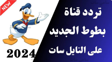 Resizer 17246180213121