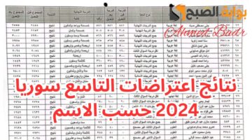Screenshot 2024 08 13 161357