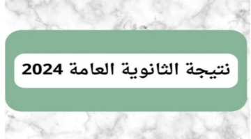 Screenshot 138