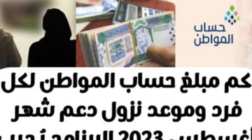 Screenshot ٢٠٢٤ ٠٨ ٠٨ ١٧ ٢٣ ١٢ ٨٣ f9ee0578fe1cc94de7482bd41accb329