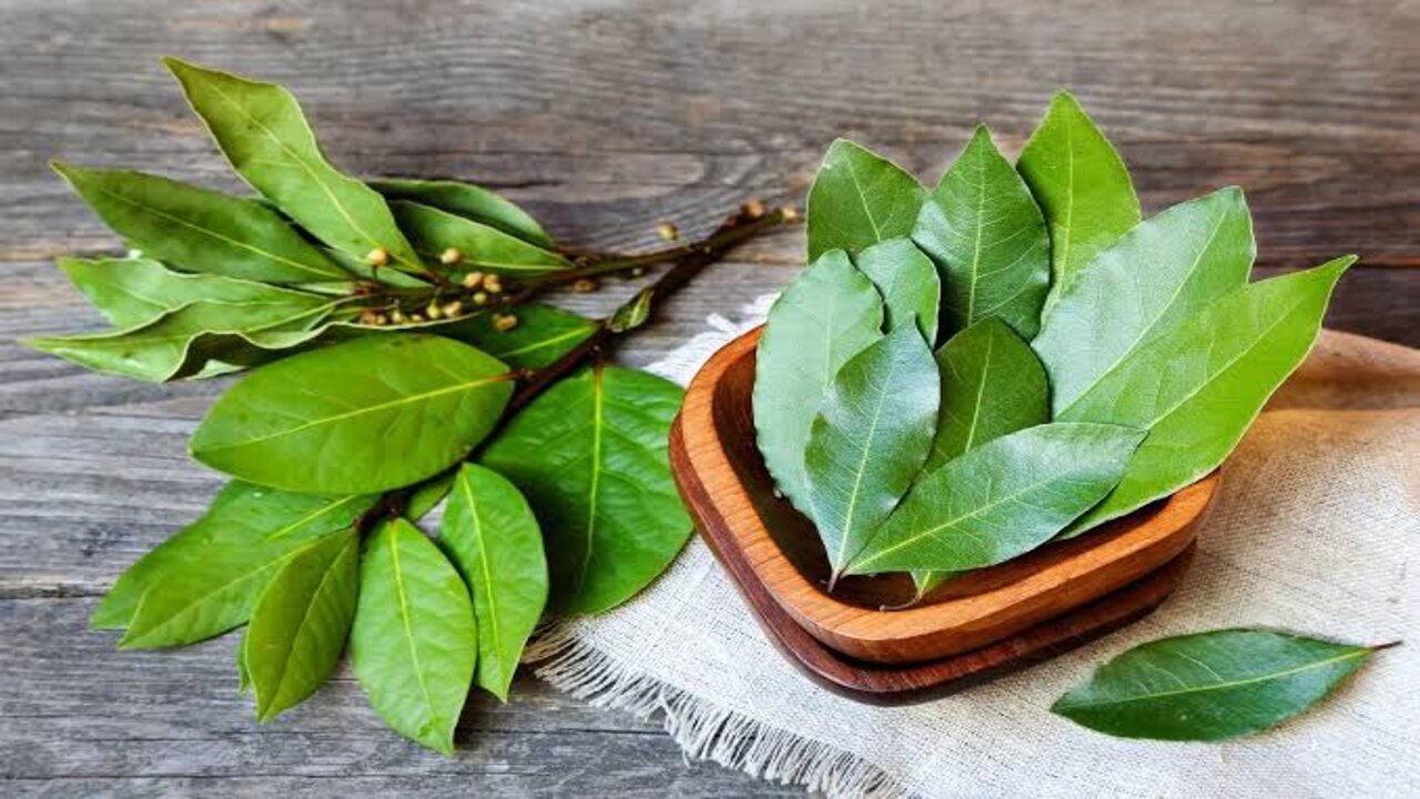 الطبيعي يكسب على طول.. طريقة رائعة لاستخدام ورق الغار الجبار هيخليكي متستغنيش عنه 5 الطبيعي يكسب على طول.. طريقة رائعة لاستخدام ورق الغار الجبار هيخليكي متستغنيش عنه