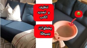 images 2024 08 24T070529.795