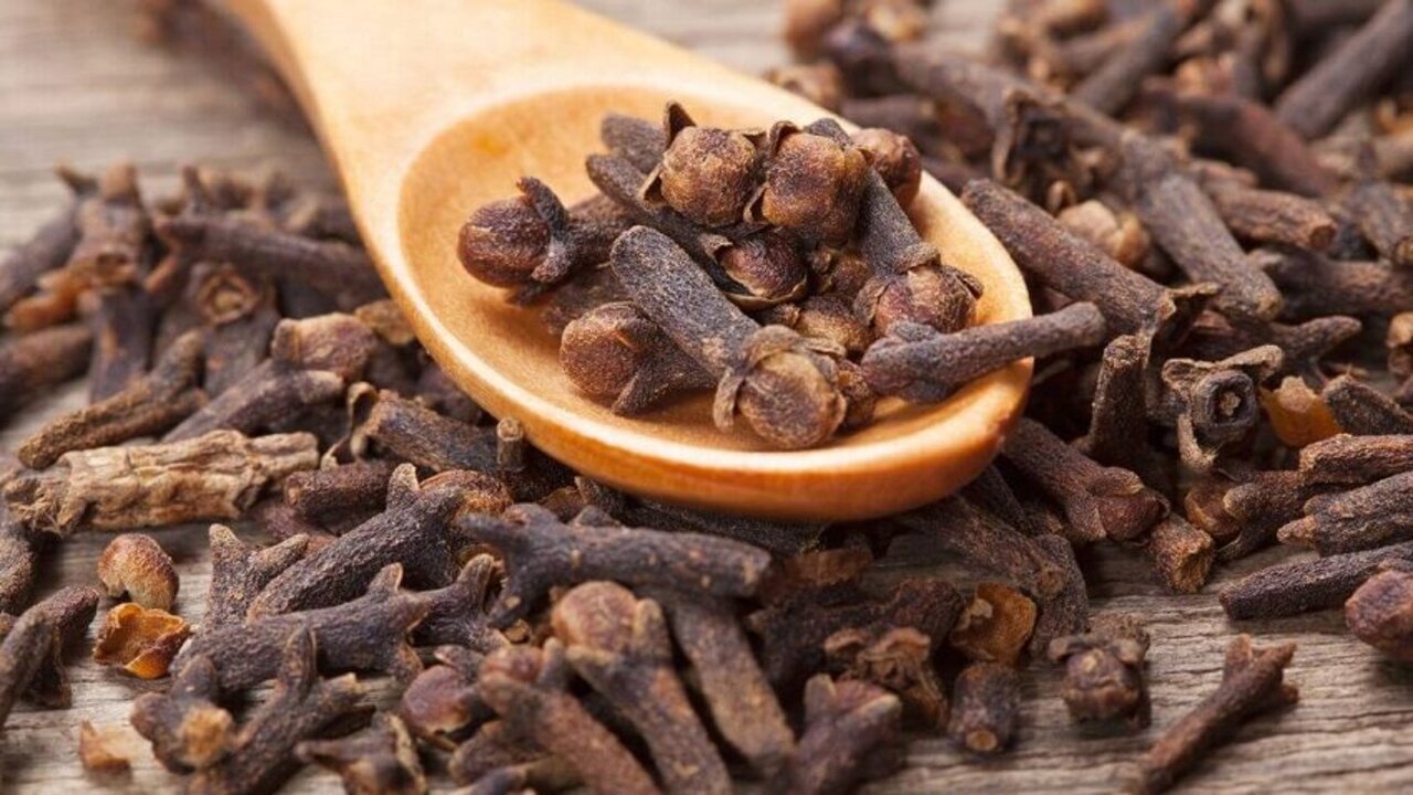 شعرك نصف جمالك.. أفضل طريقة طبيعية لزيادة كمية طول الشعر في وقت قياسي 5 شعرك نصف جمالك.. أفضل طريقة طبيعية لزيادة كمية طول الشعر في وقت قياسي