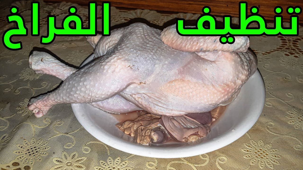 طريقة تنظيف وغسل الفراخ والتخلص من الزفارة وتعقيمها بخطوات سهلة وصحية 5 طريقة تنظيف وغسل الفراخ والتخلص من الزفارة وتعقيمها بخطوات سهلة وصحية