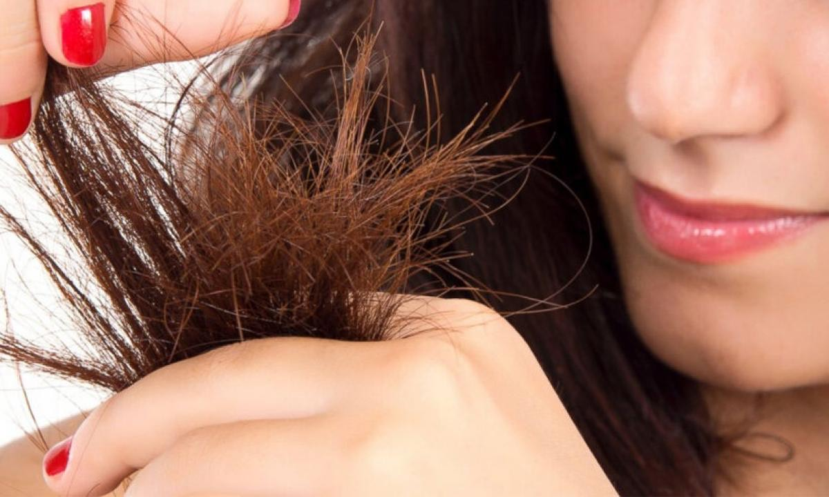 مش هتحتاجي تقصيها تاني..أفضل الخلطات الطبيعية لمعالجة أطراف الشعر التالفة والمتقصفة