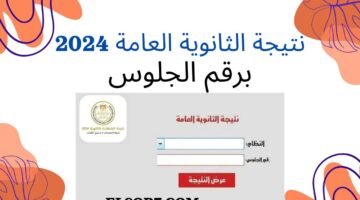آخر أخبار نتيجة الثانوية العامة 2024