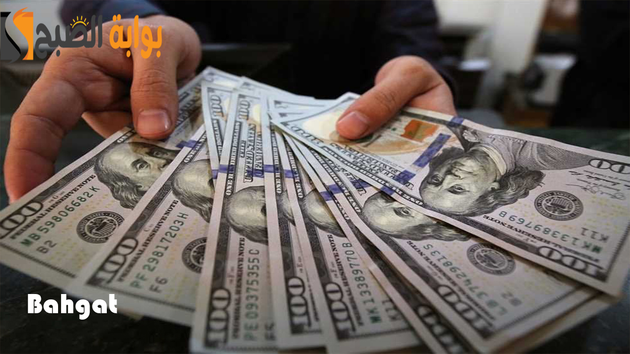 “الأخضر بكام”.. تعرف على أسعار صرف الدولار اليوم السبت 10 أغسطس في البنوك المصرية