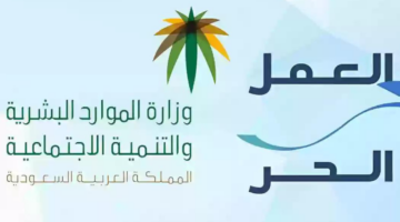إصدار وثيقة العمل الحر الأسر المنتجة