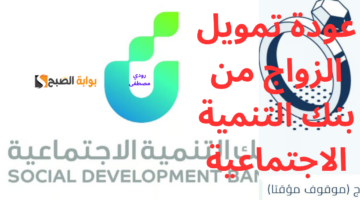 إضافة عنوان 11 1