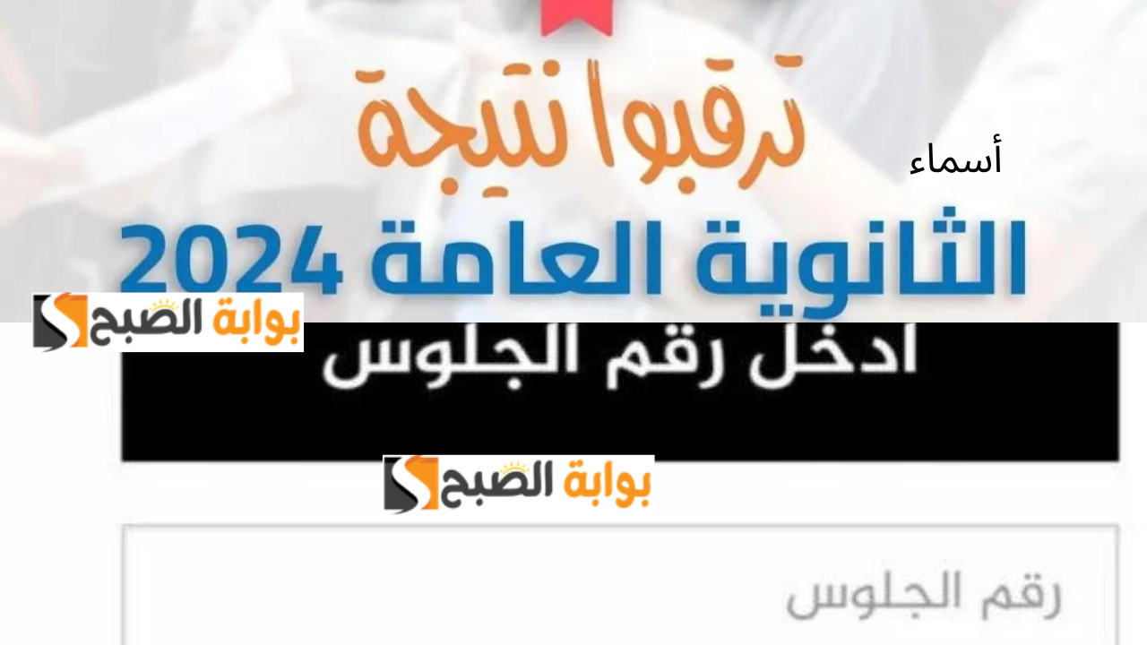 رابط نتيجة الثانوية العامة برقم الجلوس ٢٠٢٤ الشعبة العلمي والأدبي بالدرجات متاحه الآن