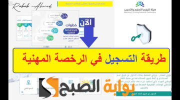 اختبار الرخصة المهنية العام
