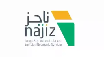 استعلام عن صك منصة ناجز
