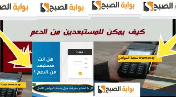الاستبعاد من الدعم سوريا 2024