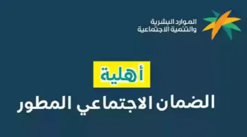 الاستعلام عن أهلية الضمان الدورة 33
