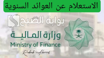 الاستعلام عن العوائد السنوية